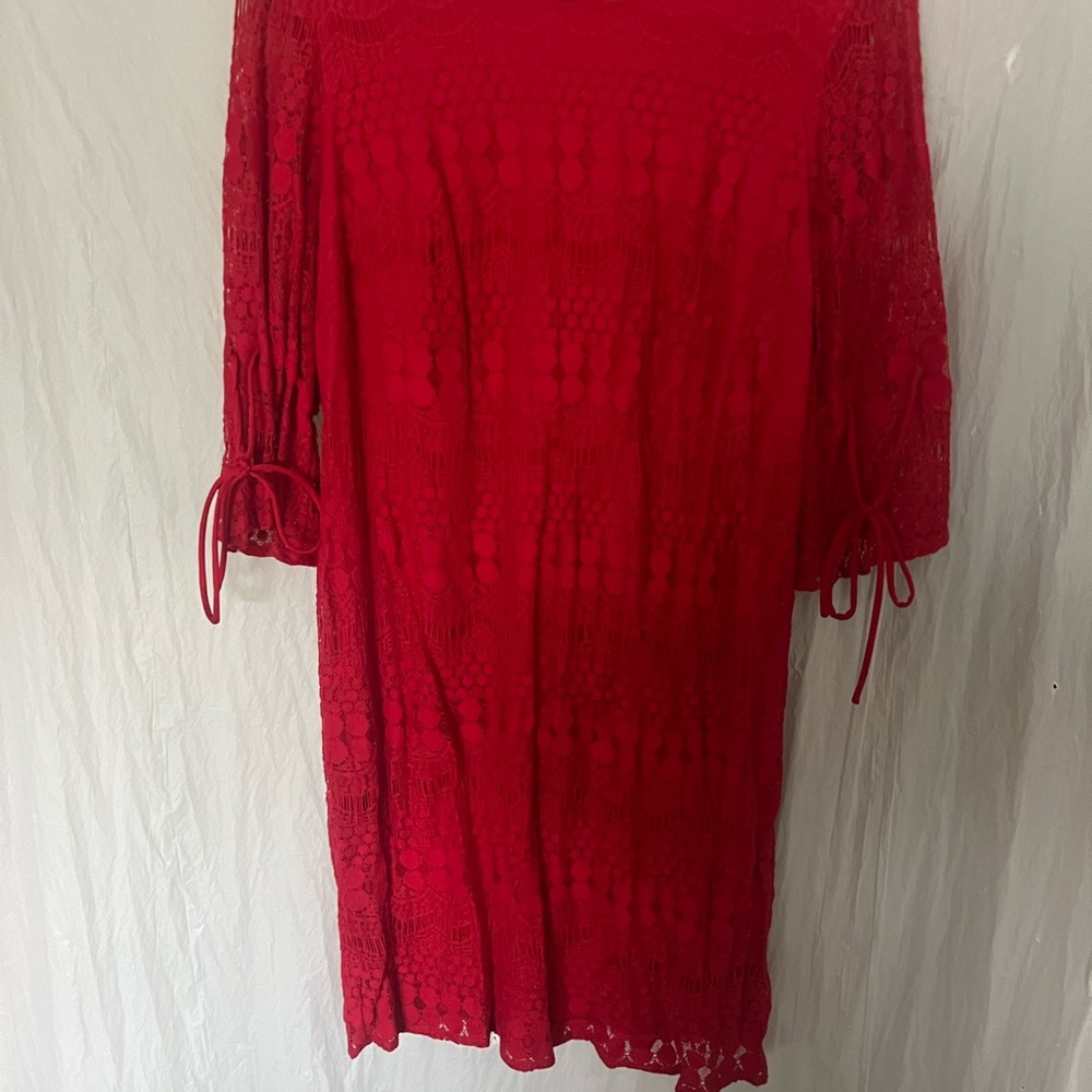 R & K red lined lace dress with 3/4 bell sleeves hidden back zip size 14W - Picture 3 of 3
